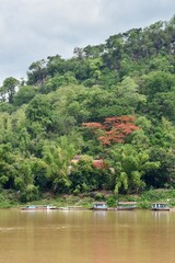 Scenic view of the Mekong River in Luang Prabang, Laos