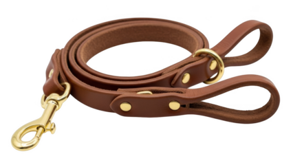 Brown leather dog leash with brass hardware on black background image