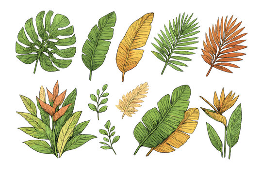 Tropical Leaves and Flowers Hand-Drawn Style