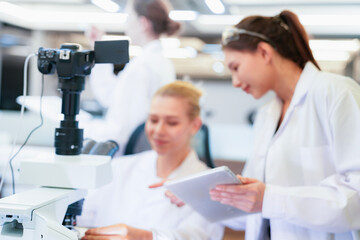 Fototapeta premium Diverse team of female scientists working in busy digital pathology lab. Researchers analyzing histology slides using microscope, tablet, and visual inspection for medical diagnosis.