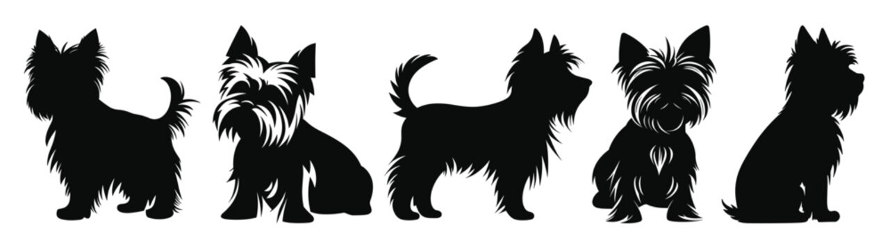 set of yorkshire terrier dogs silhouettes vector