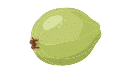 Green Avocado Fruit with Stem.