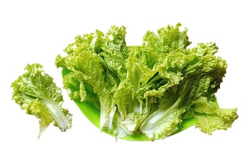 Fototapeta premium Fresh lettuce isolated on white background 
