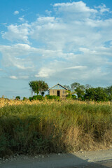 Obraz premium The vast natural plains of Kenya, Africa