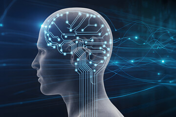 Obraz premium Brain Circuitry: An artistic representation showcases the intricate neural pathways within the human brain, illuminated by electric blue lines that symbolize the flow of information.