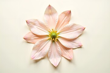 Naklejka premium Delicate Pink Flower on a Neutral Background