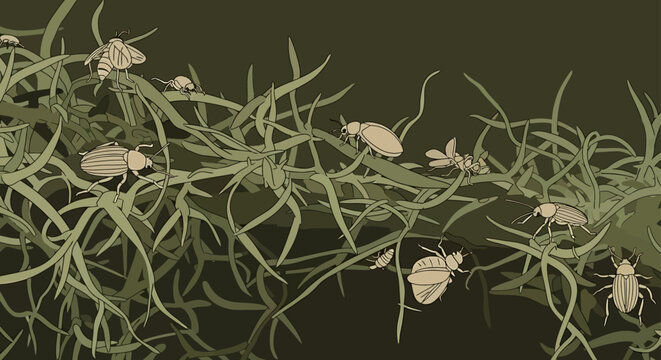 insect pattern background with beetles crawling on abstract grass in muted green tones ideal for nature themed packaging and wallpaper