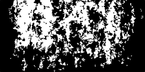 Obraz premium Abstract black and white grunge background featuring a vintage floral pattern with ink splash textures and a decorative vector border design for an artistic silhouette illustration