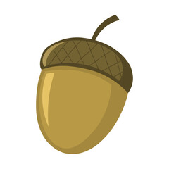 Illustration of an Acorn