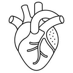 A simple black and white outline illustration of a human heart is depicted.
