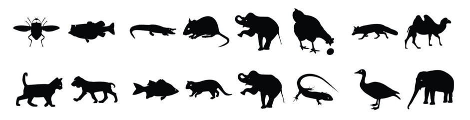 pack of jungle animals avatars solid icon vectors © fas