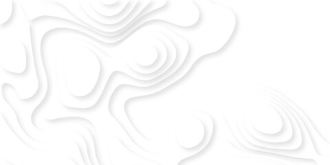 Abstract white papercut luxury diamond creative technology background. vector natural shadow papercut web topography map spiral line origami wave business texture.