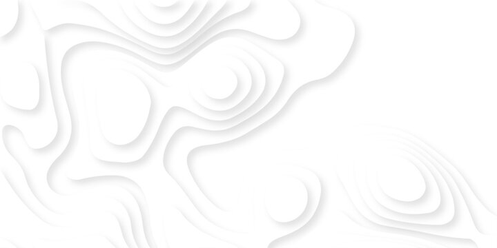 Abstract white papercut luxury diamond creative technology background. vector natural shadow papercut web topography map spiral line origami wave business texture.