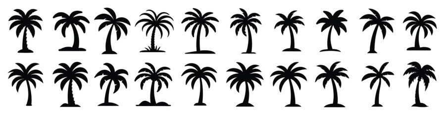 Palm tree vector silhouette collection