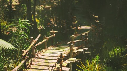 Wooden footbridges constructed by aborigines provide a natural pathway through the lush jungle, showcasing traditional craftsmanship in harmony with the vibrant surroundings.