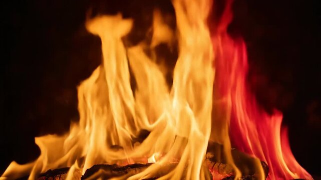 Extremely detailed close-up slow motion shot of vibrant red and yellow fire swirling and licking upward against a black background texture vfx element, high temperature, crisis