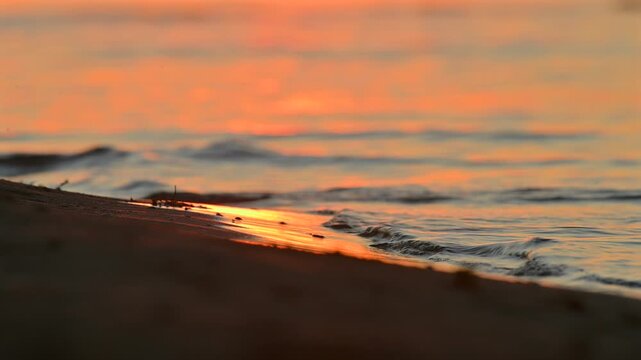 Sea waves on sandy beach in golden sunset light