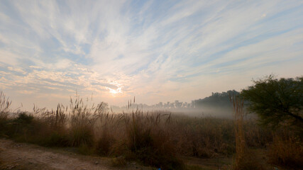 Obraz premium A peaceful rural sunrise highlights the silhouette of a lone tree against a backdrop of colorful, scattered clouds and low fog.