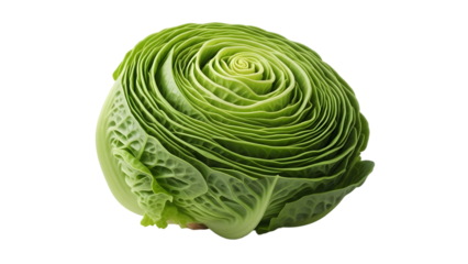Close up of a fresh green cabbage head on black background