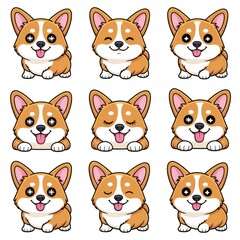 Corgi dog steackers , peeking over a white surface with paws visible	