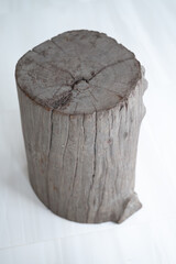 tree stump isolated on white