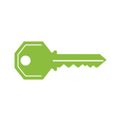Green Key Icon Vector
