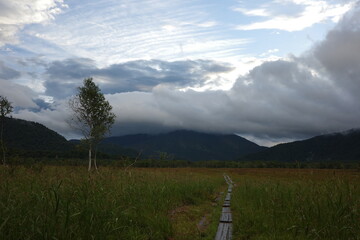 夏の終わり、朝焼けに染まる尾瀬ヶ原の湿原。
