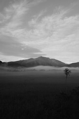 夏の終わり、朝焼けに染まる尾瀬ヶ原の湿原。