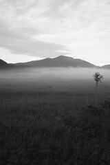 夏の終わり、朝焼けに染まる尾瀬ヶ原の湿原。