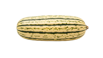 Isolated Delicata Squash lying flat, a tasty vegetable in the Cucurbitaceae family for Autumn harvest