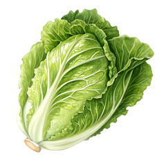 Crisp & Green! What's your recipe? on transparent background