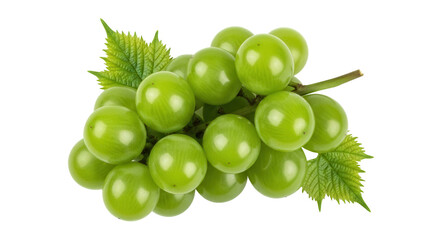 Isolated cluster of fresh green grapes, a popular healthy fruit snack for easy eating