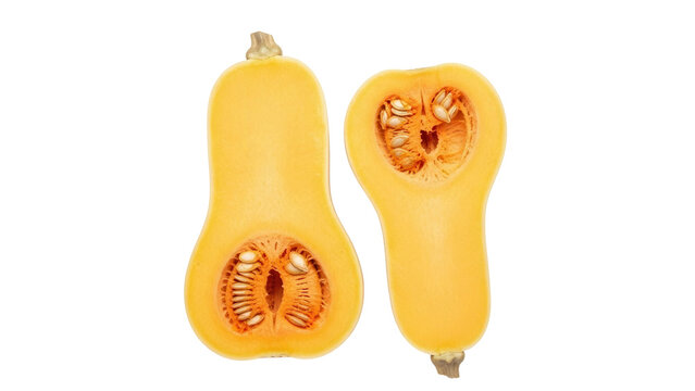 Isolated uncooked butternut squash, cut in half lengthwise, with edible seeds for cooking
