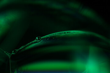 Green liquid surface, phenomenal structure, green oils on a dark background, colourful luminous abstract, surrealistic art, glowing effects