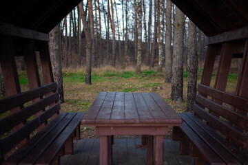 Wooden picnic table and benches in a pine forest