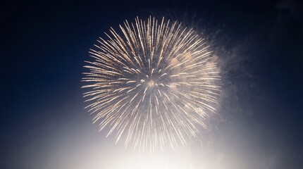Obraz premium Spectacular Golden Firework Bloom Against a Soft Twilight Sky During a Festive Celebration