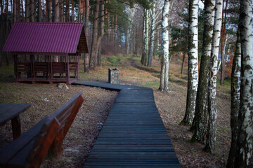 Winding wooden boardwalk path leading to a gazebo in a mixed forest park