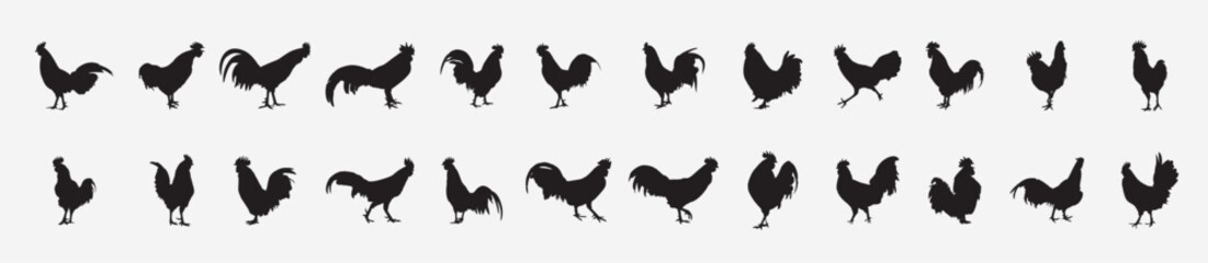Fototapeta premium roosters silhouettes set 