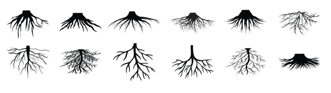 root vector icon set tree illustration sign collection
