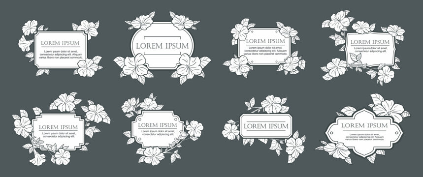 petunia flowers frame vector 