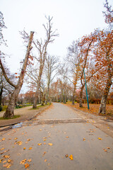 Vajdahunyad Castle with waterfront in Budapest at christmas time. Amazing Reflection.
