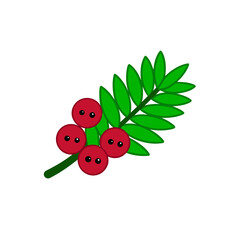 Illustration of berries and a green branch on transparent background