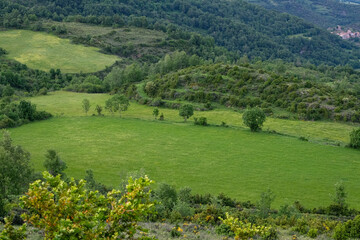 Cattle meadows and pastures in the Vall Fosca, Catalonia, Pyrenees. Sustainable farming, free-range, feeds naturally. Copy space.