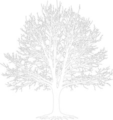 Obraz premium Detailed Bare Tree Outline Drawing Vector Illustration of Winter Branches and Roots