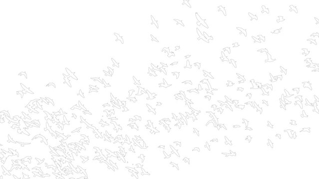 Scattered flock of flying birds vector outline illustration isolated on white background