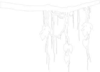 Outline Vector Drawing of Jungle Vines and Leaves Hanging from Tree Branch