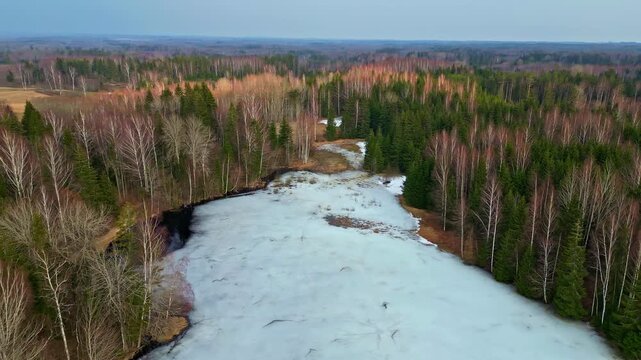 Forest in winter, snow covered partial frozen lake rural Latvia, aerial drone
