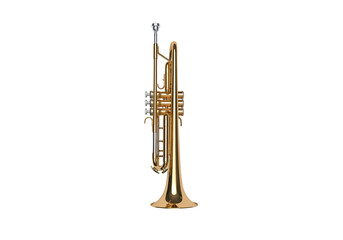 Elegant gold trumpet instrument for music lovers