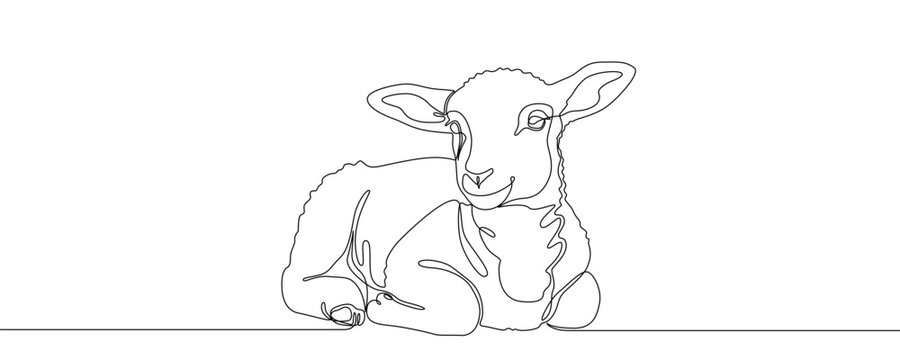 Lamb lying down. Drawing in one line art style with editable black stroke on a white background. Vector illustration.