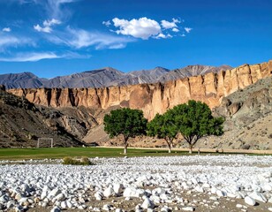 Grassy field, trees, and a rocky cliffside under blue sky